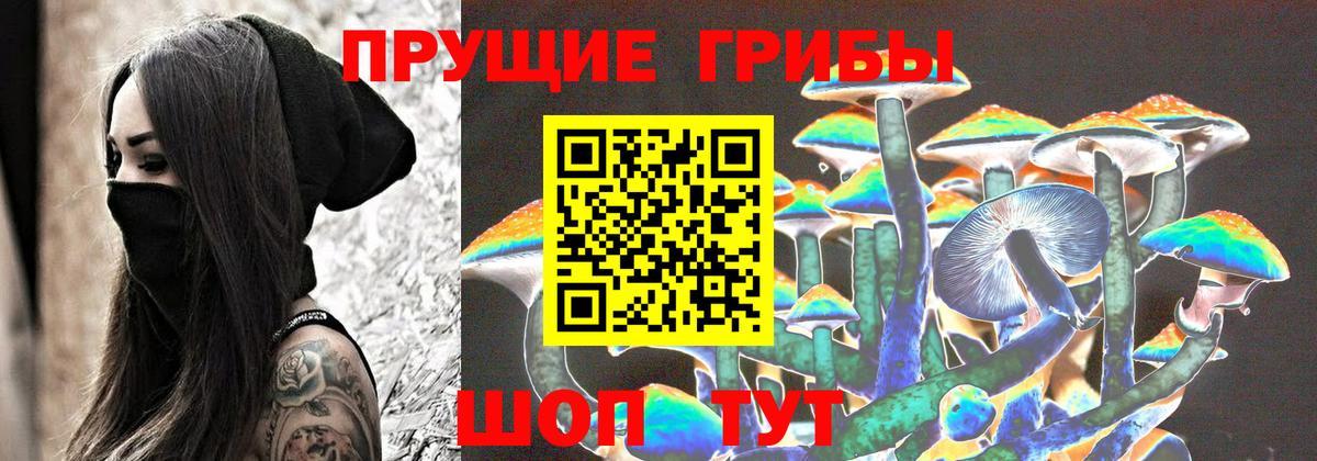 Галлюциногенные грибы прущие грибы Керчь
