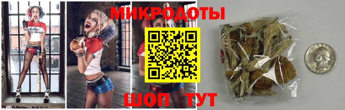 Керчь  Галлюциногенные грибы мухоморы  Вход с VPN  Псилоцибиновые грибы GOLDEN TEACHER 